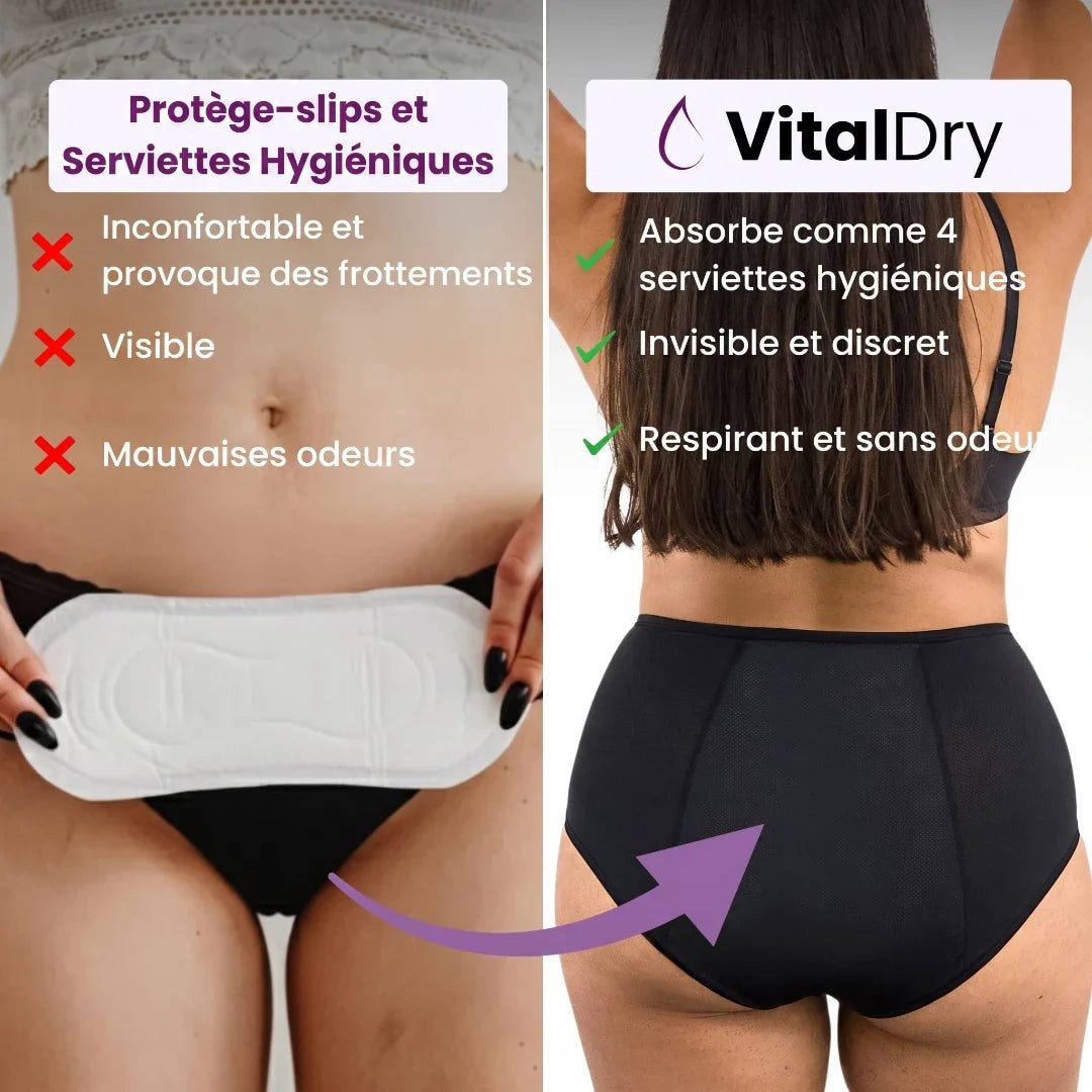 VitalDry | Sous-vêtements anti-fuites | Lot de 5